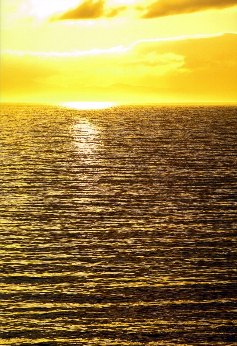 岡井千聖 – Chisato  [PB写真集] Okai Chisato  日本美女